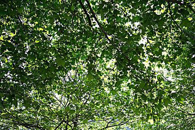 据报道索尼PS5 Slim主机盖与PS5 Pro不兼容