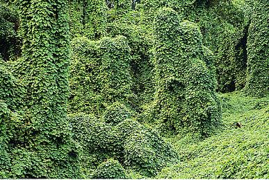 樱井政博油管频道10月22日播出“特别结局” 时长超40分钟