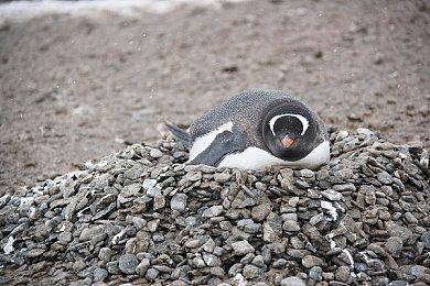 《漫威蜘蛛侠2》计划推出三款免费DLC